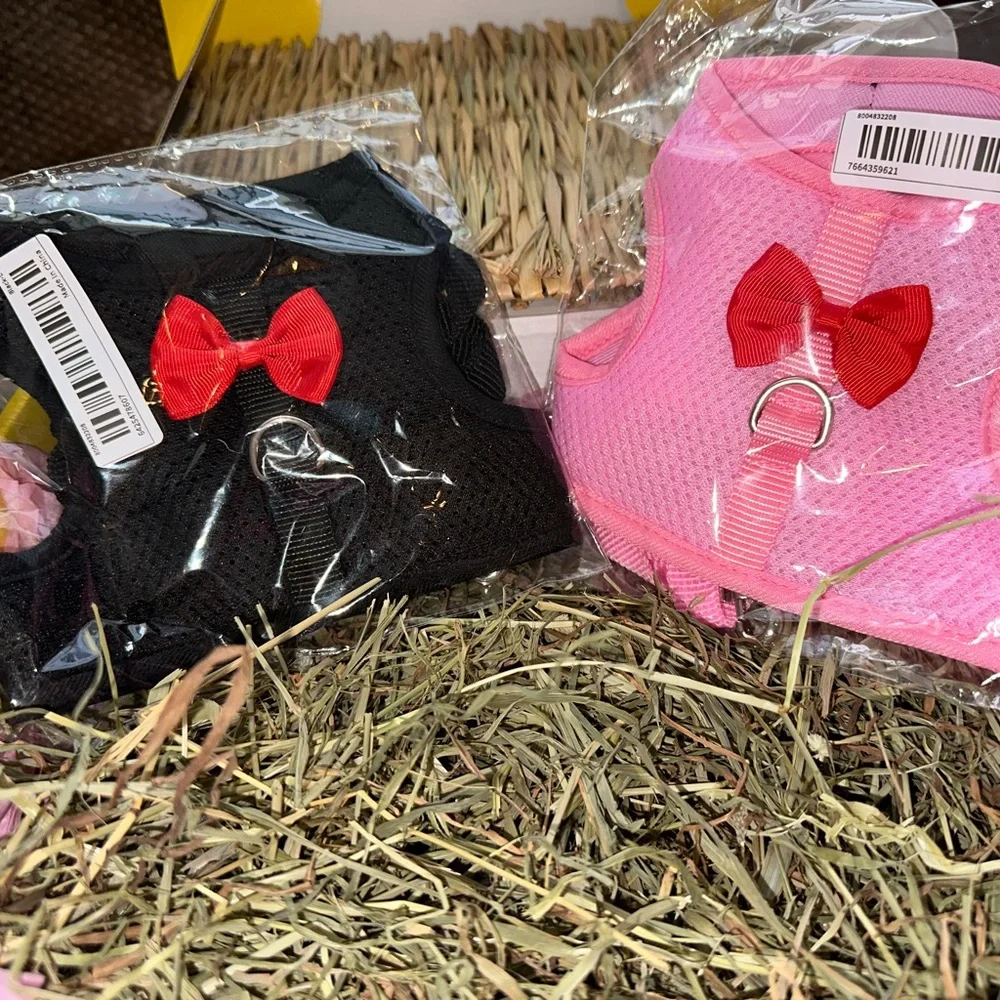 Bunny rabbit *large* treat and toy box (very last one)